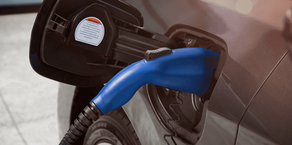 wilde honda wilde honda