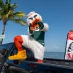 Sebastian the Ibis on Kendal Toyota Tundra