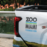zoo miami tacoma