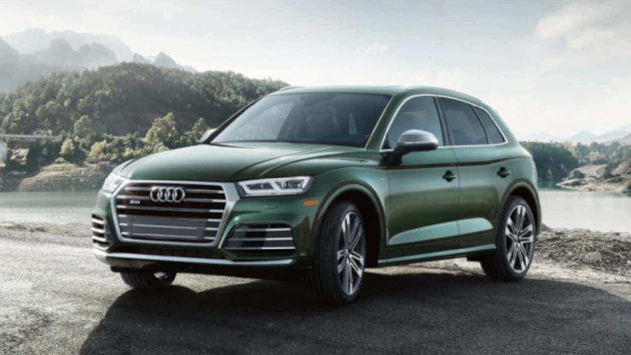 2019 Audi SQ5 Exterior Side view