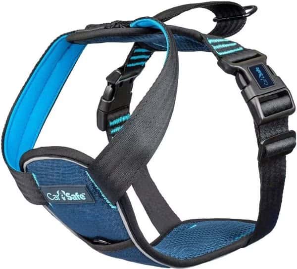 Pet Harness