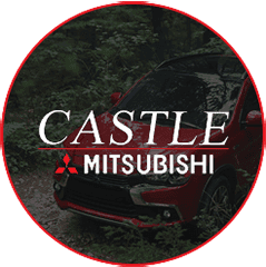 Castle-Mitsu-1-copy