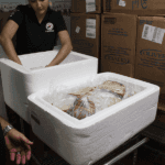 MealsonWheels