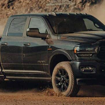 Black RAM in the dust
