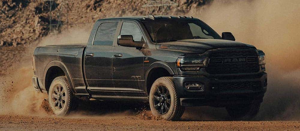 Black RAM in the dust