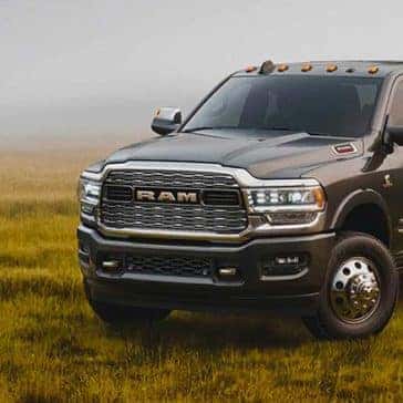 RAM 3500 in the grass