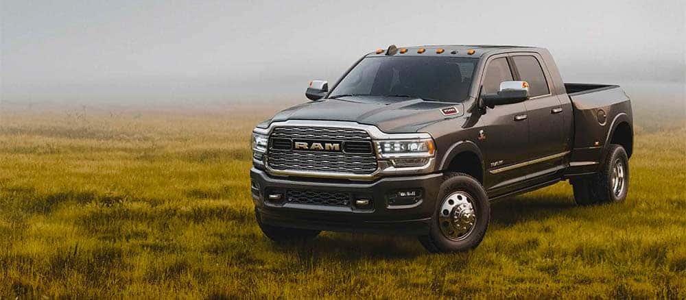 RAM 3500 in the grass