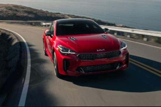 2022 Stinger