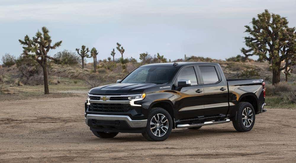 A black 2022 Chevy Silverado 1500 LT is shown from the front at an angle after leaving a dealer that has a Chevy Silverado for sale near Mountain Brook, AL.