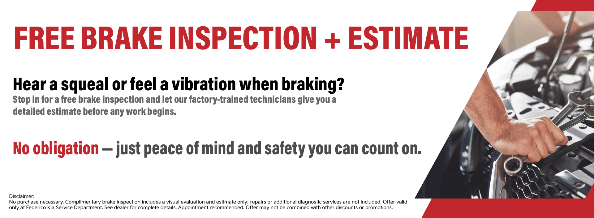 free brake inspection