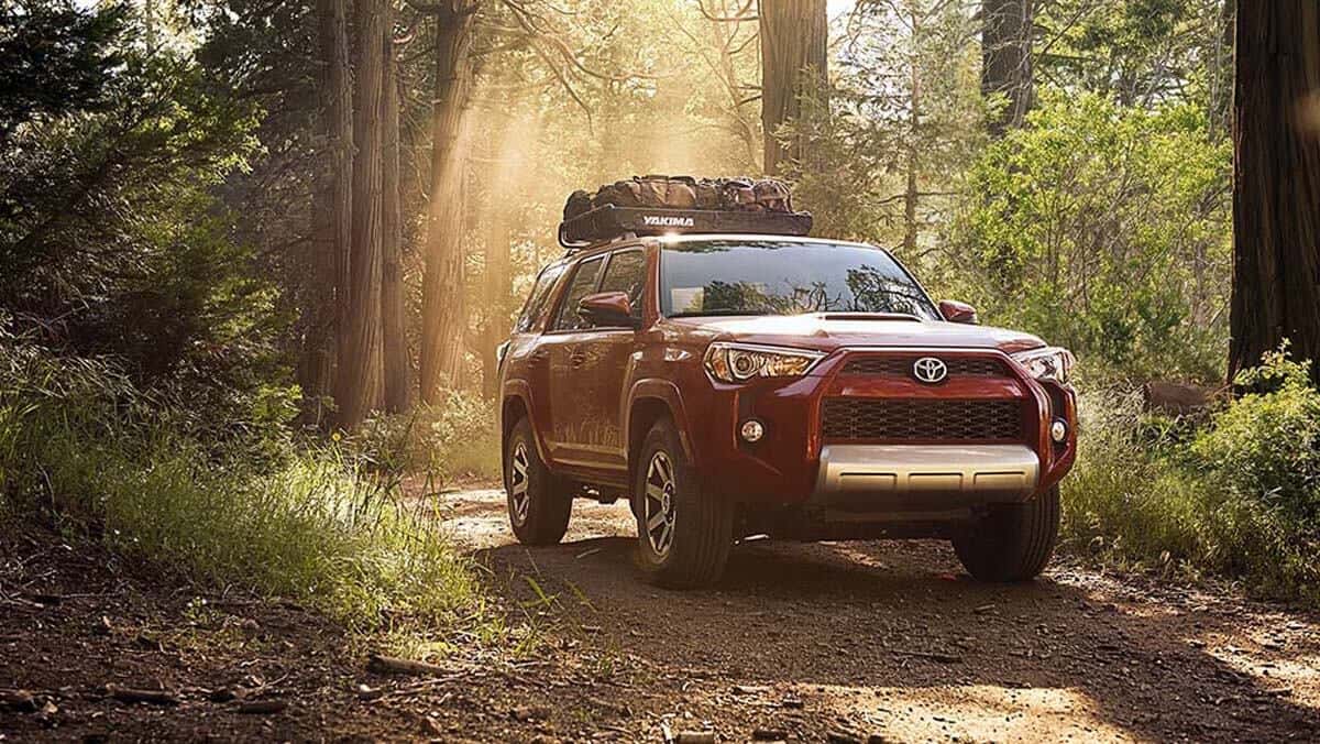2017 Toyota 4Runner in the forest