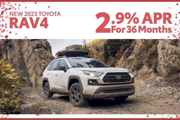<center><strong>2023 Toyota RAV4</strong></center>