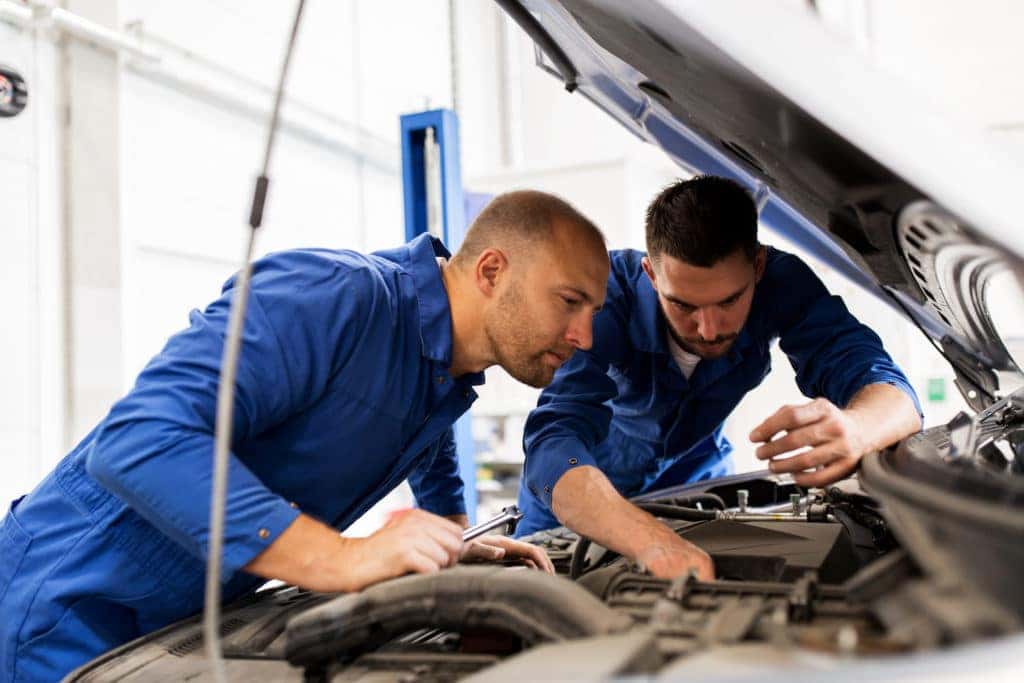 Timing Belt