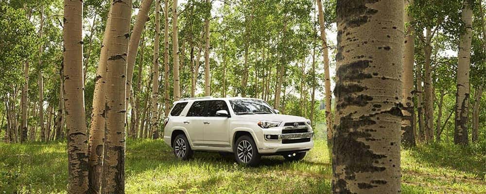 2020 Toyota 4Runner Colors by Jim Hudson Toyota | Irmo