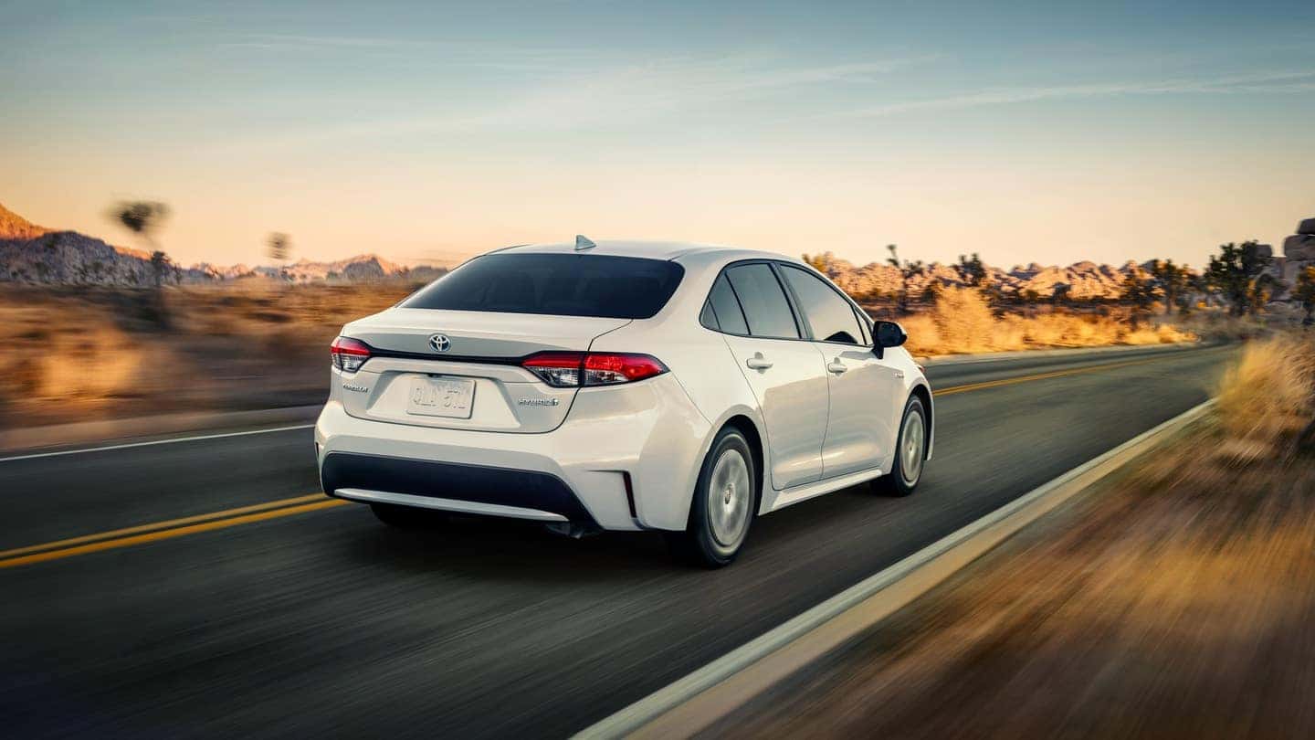 corolla hybrid