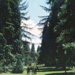 Students walking around the UO campus