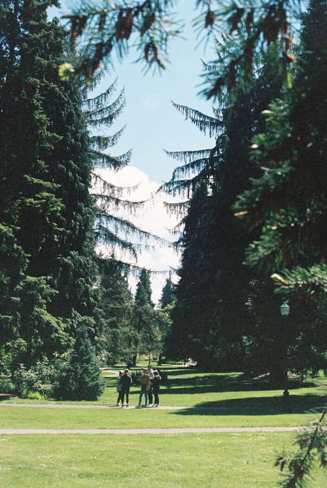Students walking around the UO campus