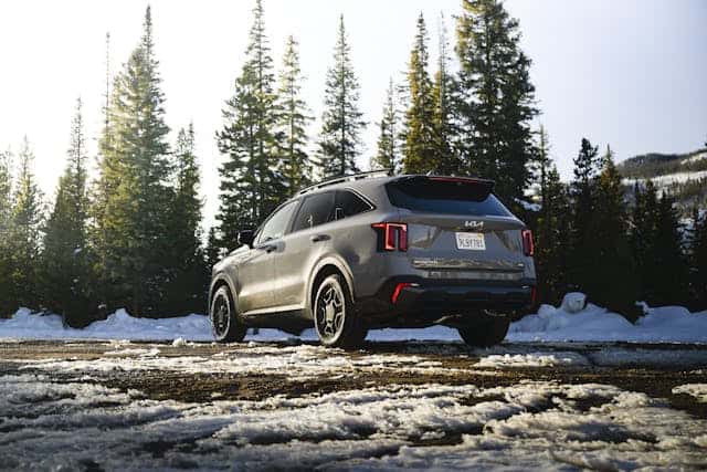 Stylish SUV in Snowy Forest Setting