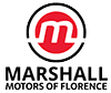 Dealership Logo
