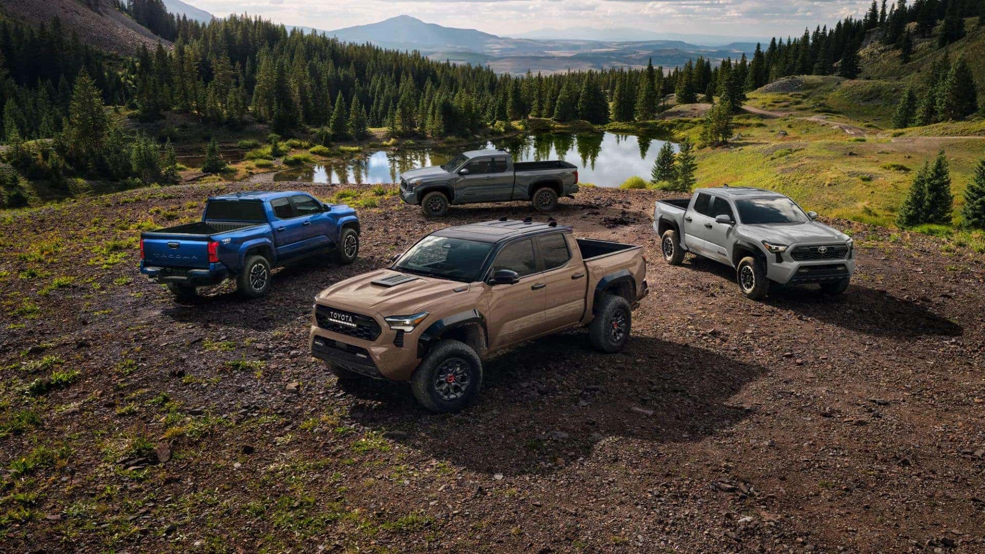 Group of four Toyota Tacoma trucks showcasing various trims, parked in a picturesque outdoor location near a pond.