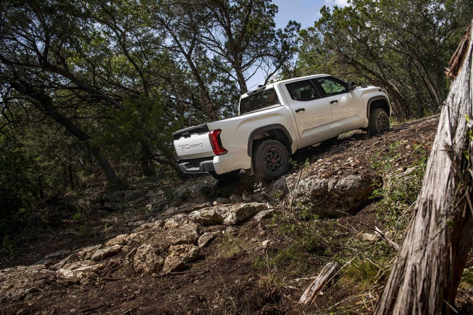 a white tundra TRD Pro driving up hill on a dirt path in the woods.