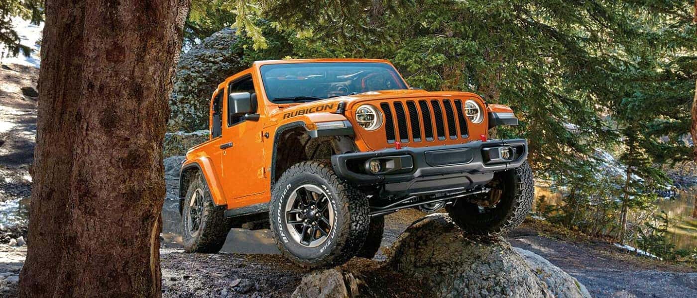 2019 wrangler models