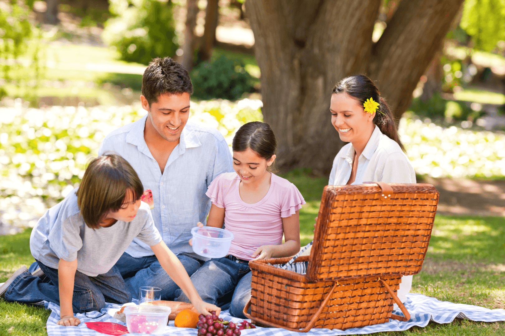 About Laguna Hills CA