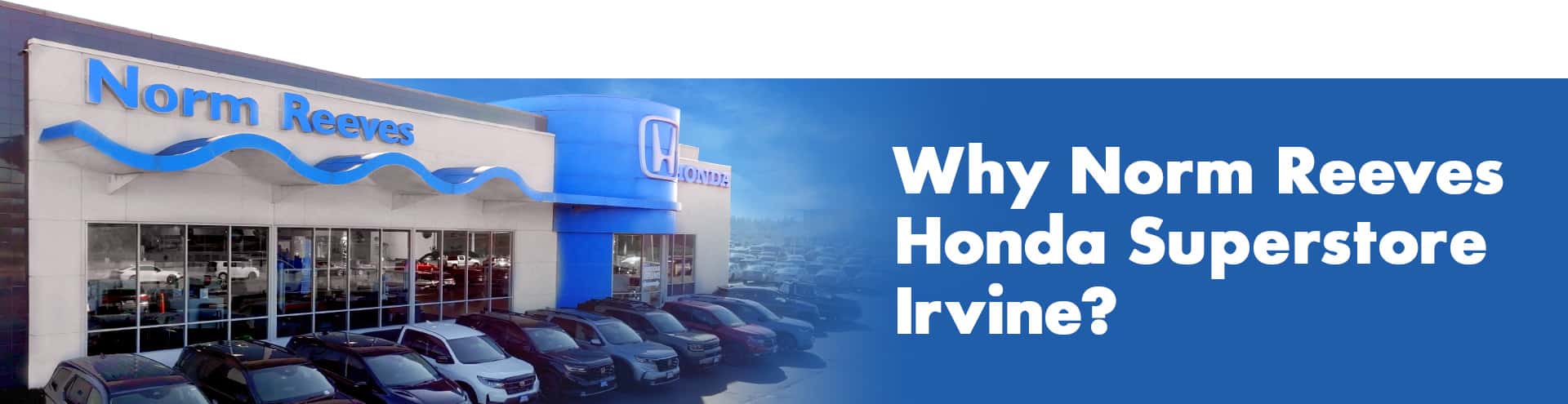 Why Buy