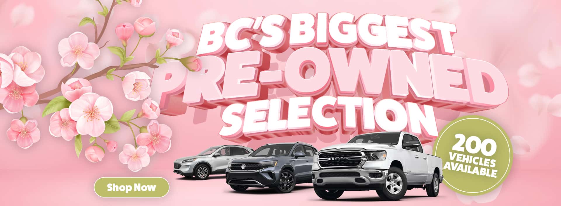 2817542_NLD_BiggestUsedSelection_WB