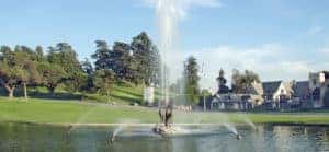 Forest Lawn