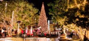 Americana at Brand Winter Wonderland