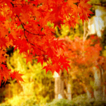 scenic drives near centerville, oh