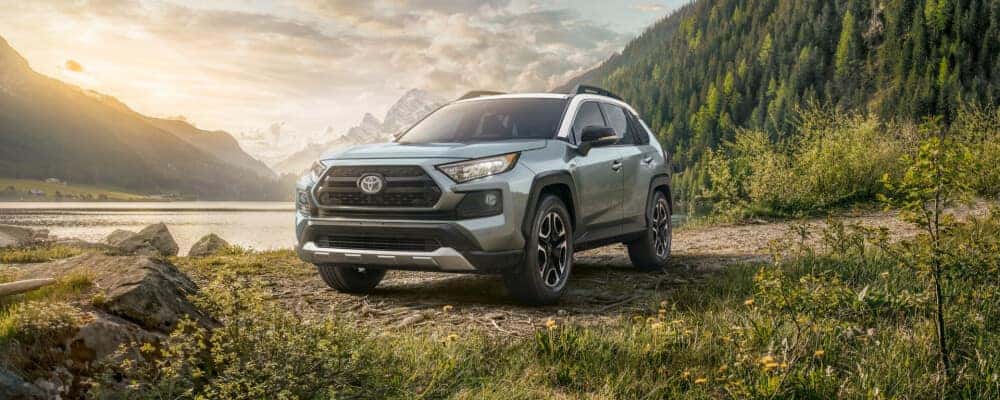 2021 Toyota RAV4 on grass