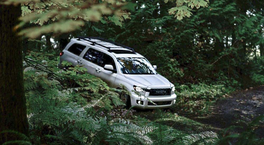 A white 2020 Toyota Highlander is shown from the front at an angle in the forest.