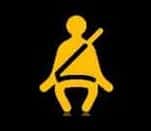 Person & Seatbelt Light