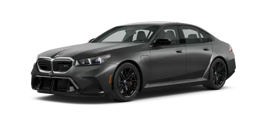 M Model