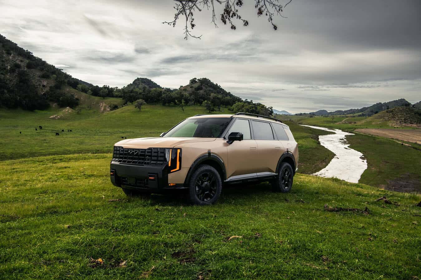 Tan Kia Telluride parked in lush green grassy hills sideview