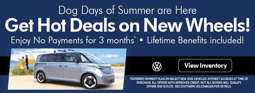 VW-Dog-Days-Summer-Slide