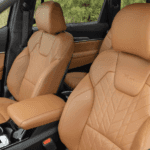 Bold Kia Terracotta Interior