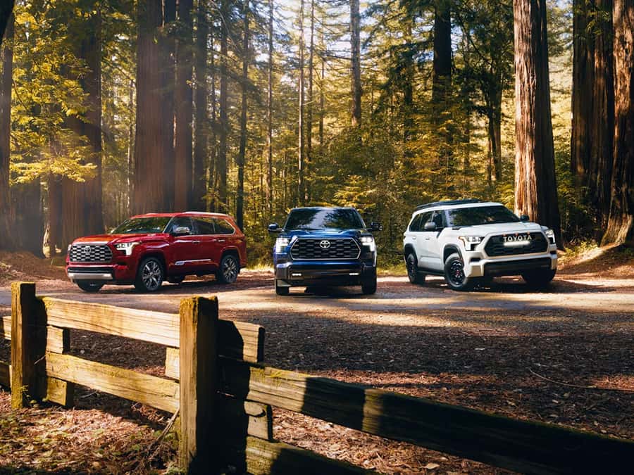 Toyota Hybrid SUVs for Families