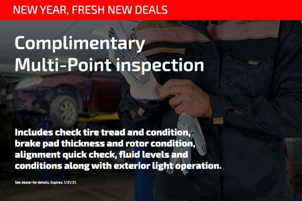 Complimentary Multi-Point Inspection