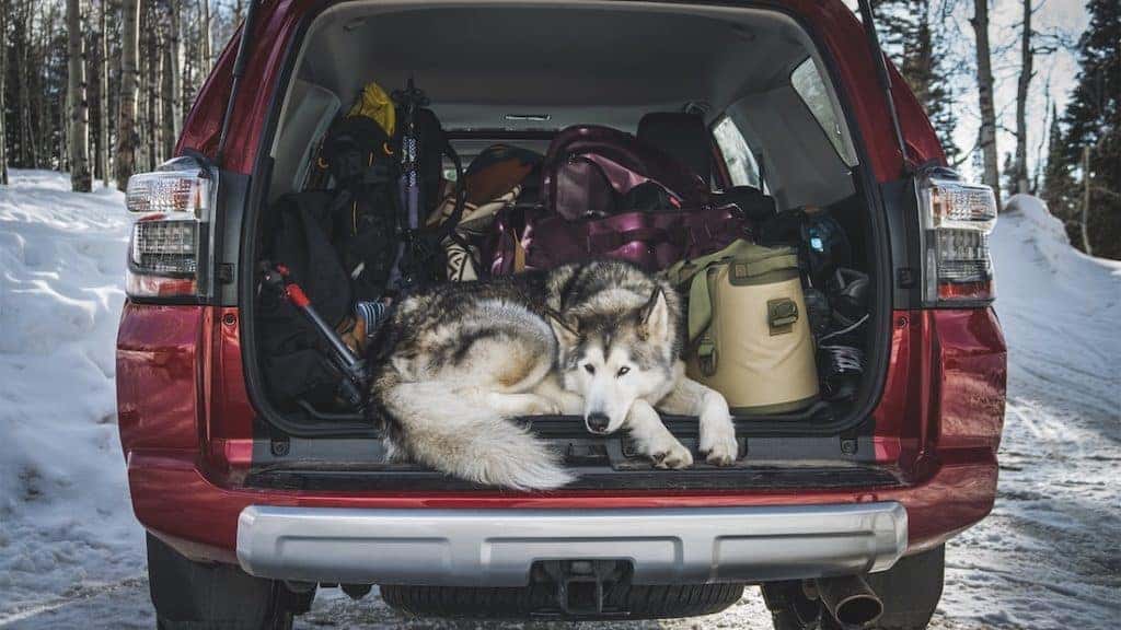 new 2019 Toyota 4Runner cargo capacity vs the competition