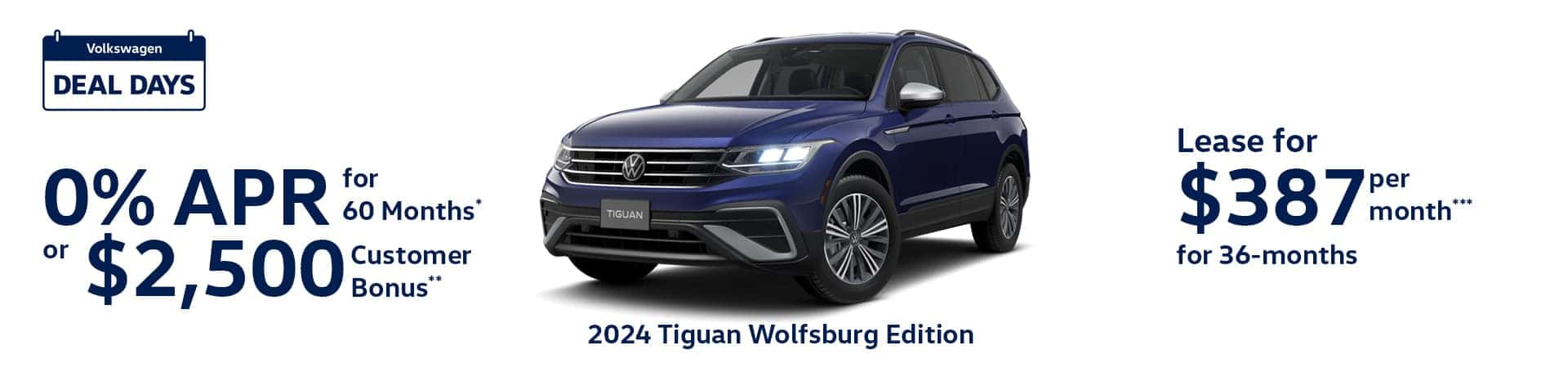 DD—Tiguan