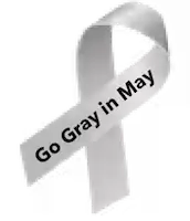 Gray Ribbon for Brain Cancer, Go Gray in May logo