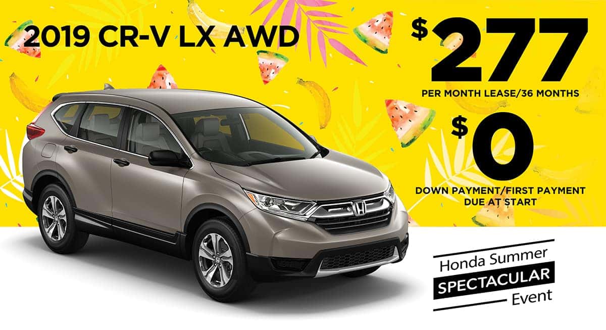 wilde honda wilde honda