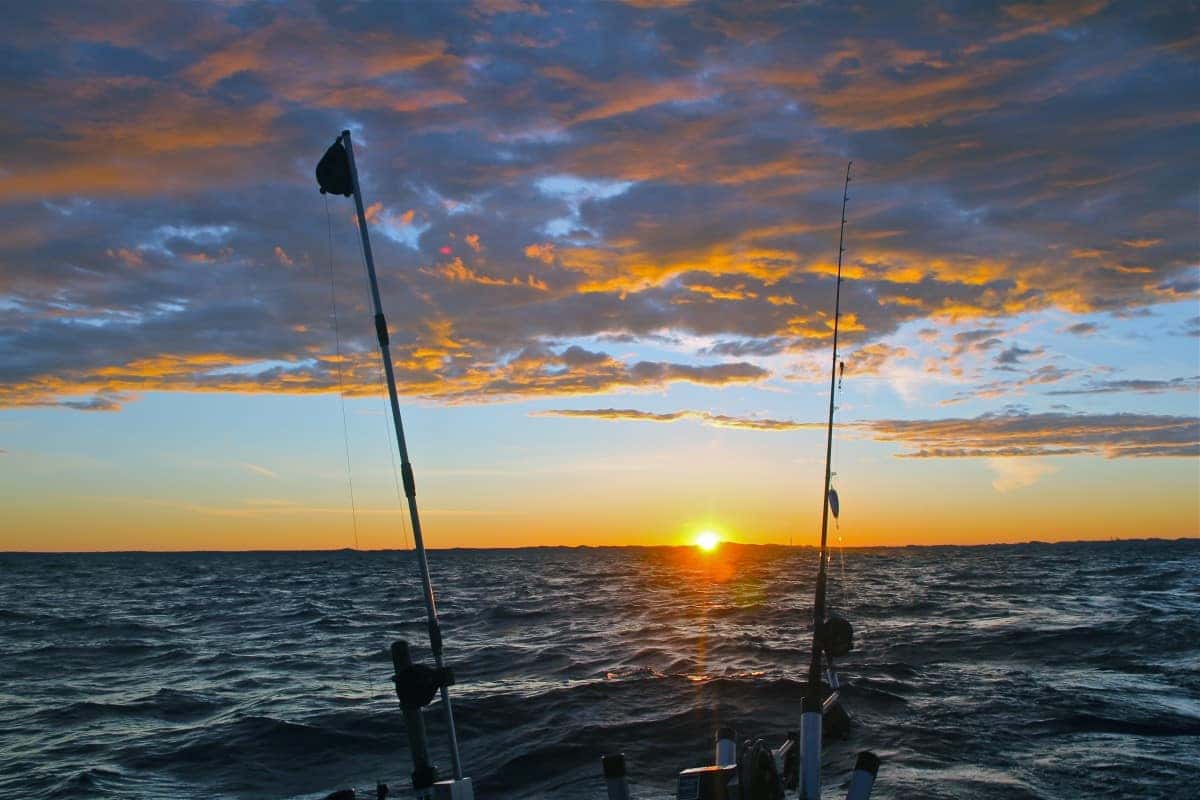 How Many Poles Can You Fish With in Michigan 